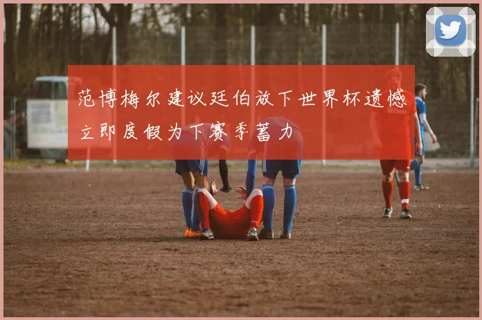 范博梅尔建议廷伯放下世界杯遗憾立即度假为下赛季蓄力