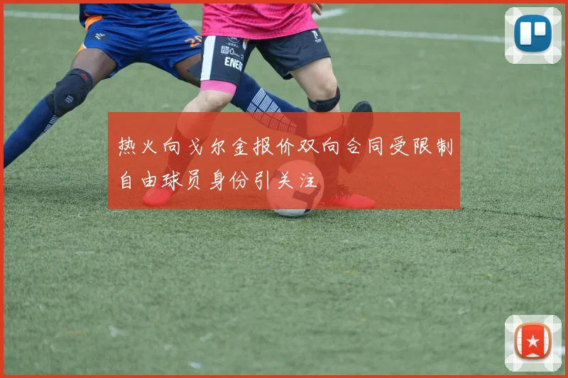 热火向戈尔金报价双向合同受限制自由球员身份引关注
